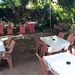 Tecimen